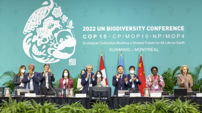 Outcome of the Convention on Biodiversity’s Conference of Parties and its significance for  Africa and the developing world