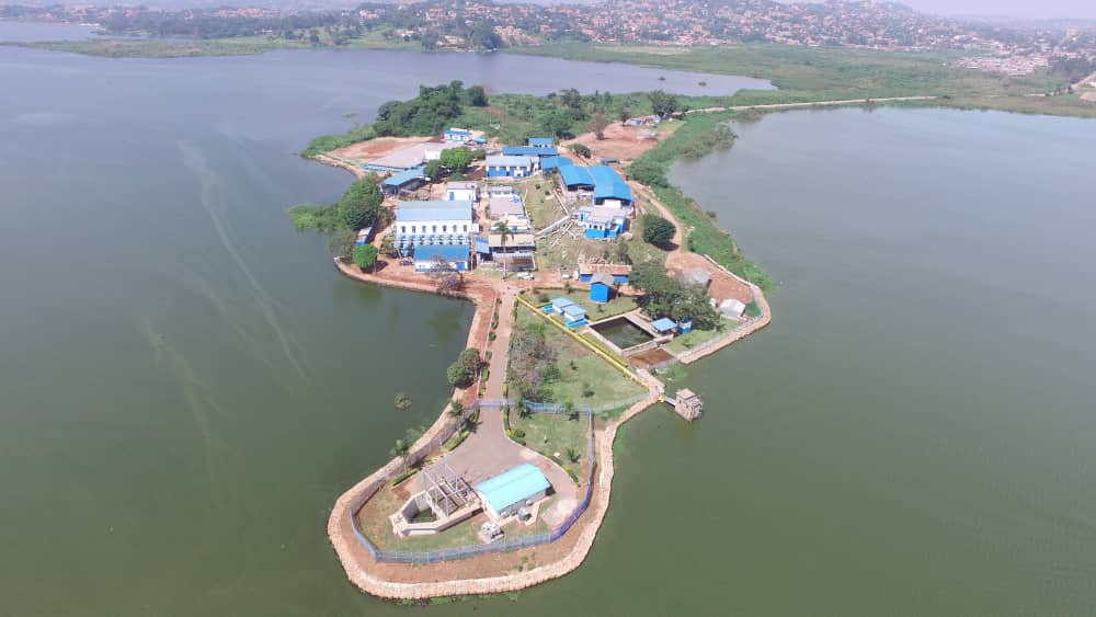How Prompt Bill Payments Drive NWSC’s Service Delivery