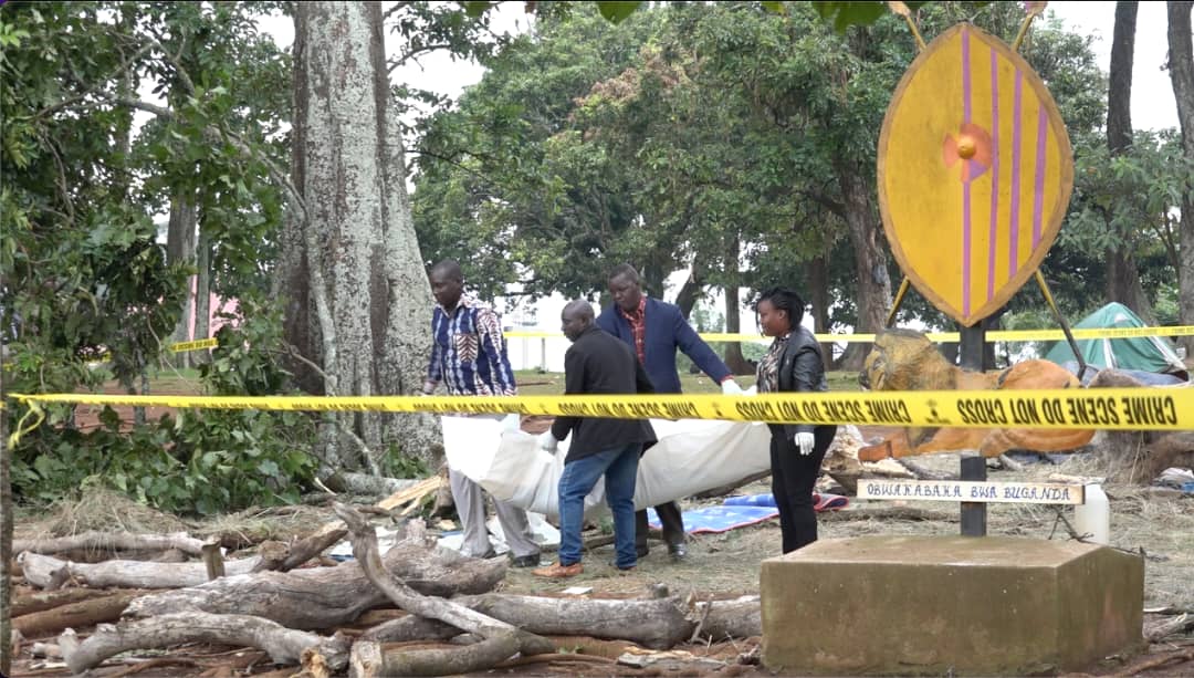 Branch From Revered Nakayima Tree Kills Four During 5am Ritual