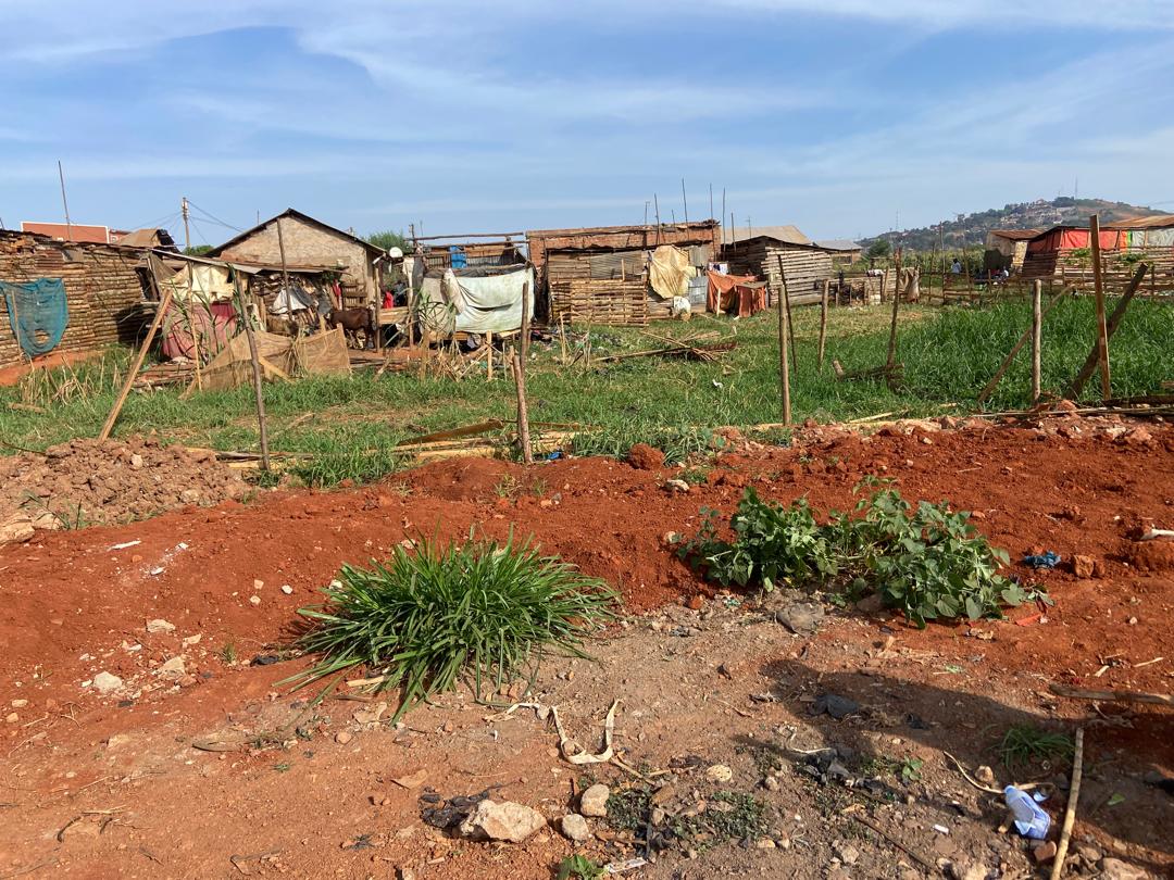 NEMA Intensifies Lubigi Wetland Restoration, Destroy Illegal Structures