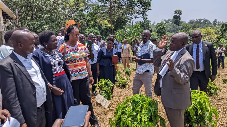 MPs Push for Climate-Resistant Coffee to Safeguard Uganda’s Industry