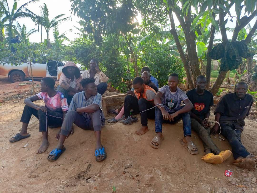 Six Suspects Remanded Over Illegal Forestry Activities in Mabira