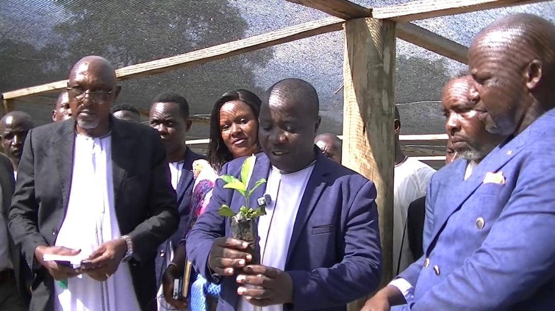 Buganda's Ffumbe clan launches nursery bed to supply 300,000 coffee seedlings