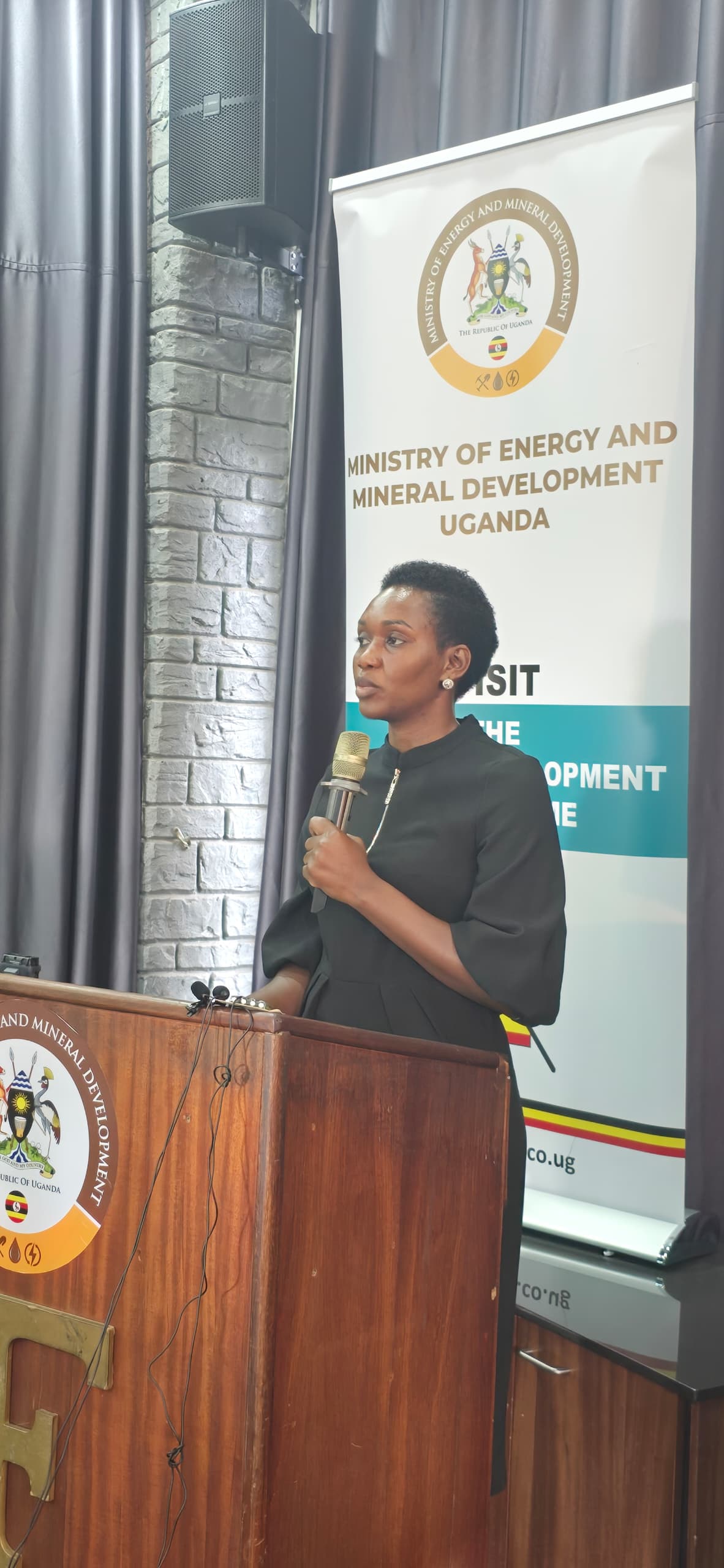 Law to regulate earth scientists needed like yesterday- Minister Nyamutooro