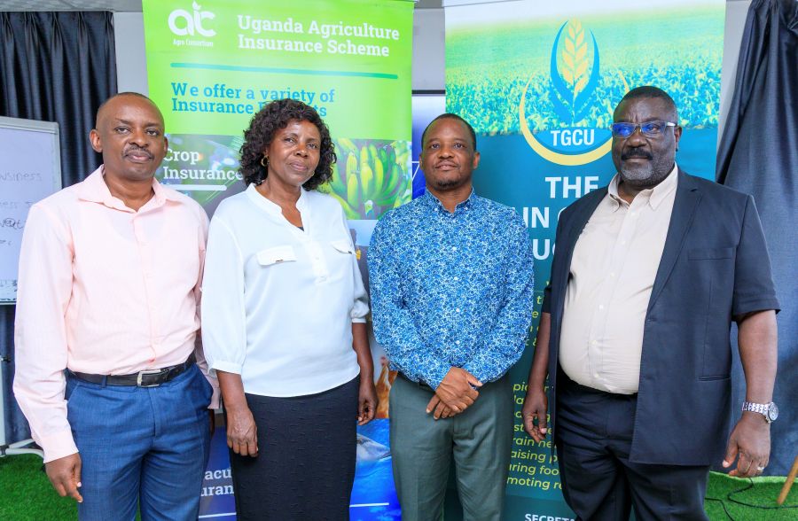 Agro Consortium, Grain Council of Uganda move to de-risk agriculture for large scale farmers