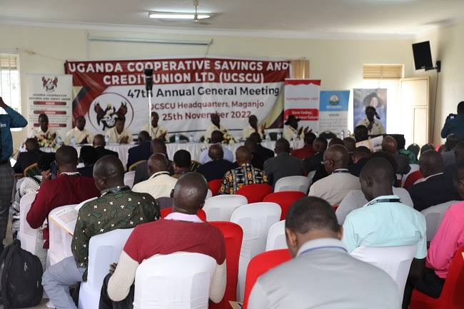 Too Many Cooks Spoiling Sacco Industry Broth
