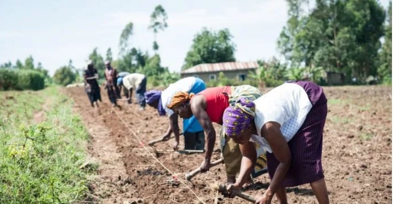 AfDB Commits Shs2tn to Revolutionise Financing for Smallholder Farmers