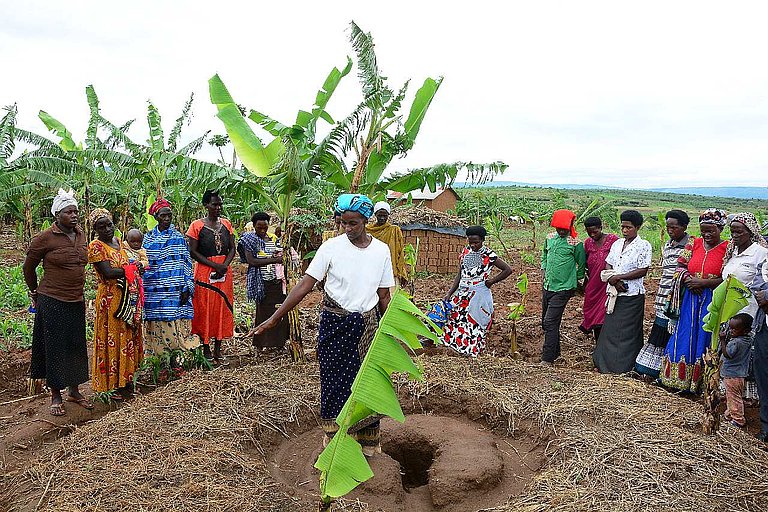 Uganda Advances Fertilizer , Soil Health Agenda to Boost Agricultural Productivity