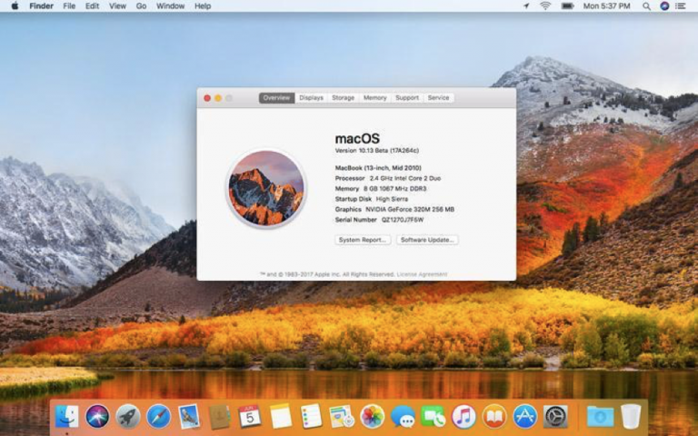 Как пользоваться leaks mac os