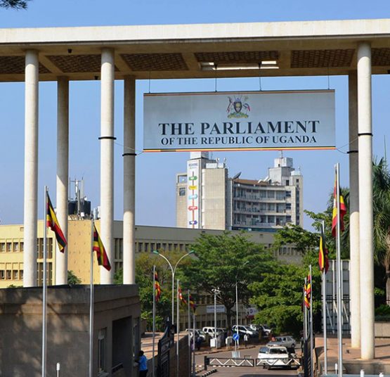 Coronavirus: MPs want parliament shut down