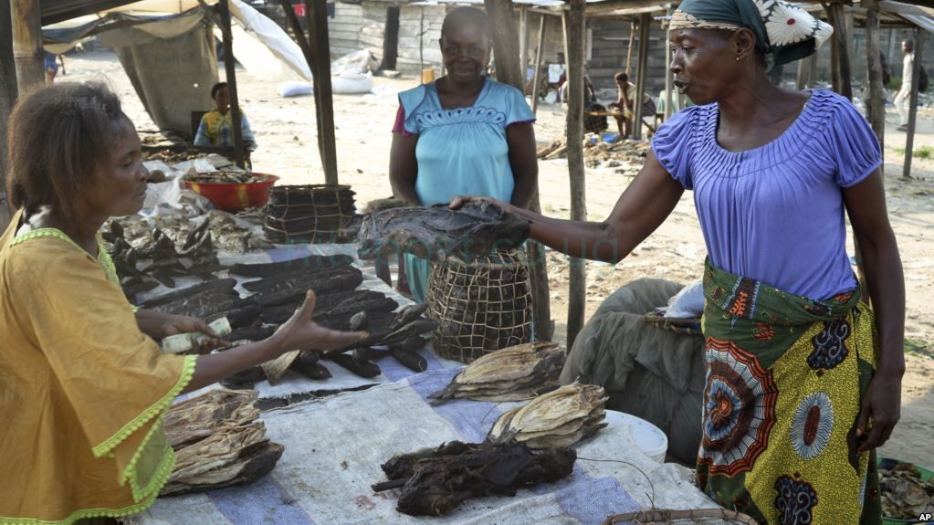 Congo's Ebola Outbreak Poses Challenges for Bush Meat