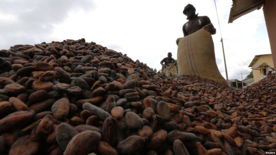 Inside the hunt for the man who stole billions meant for Bundibugyo cocoa farmers