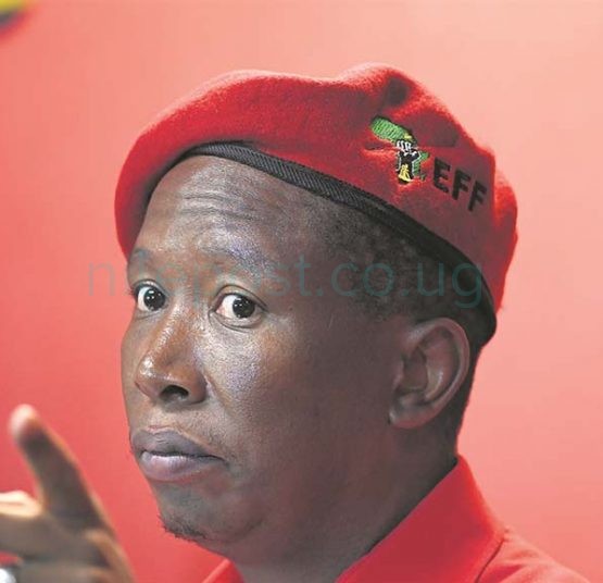 ‘United States of Africa’ must happen in our lifetime-South Africa’s Malema