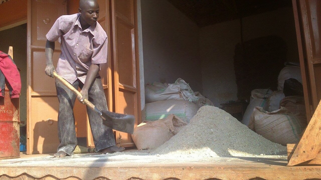 NaLRRI moves to fight fake animal feeds