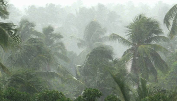 Storm winds, heavy rain destroy plantations, homes in five Kasese villages