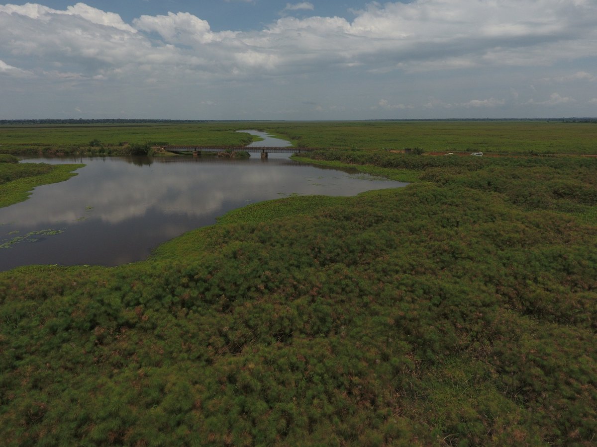 Don't destroy wetlands, minister tells locals in Kibuku