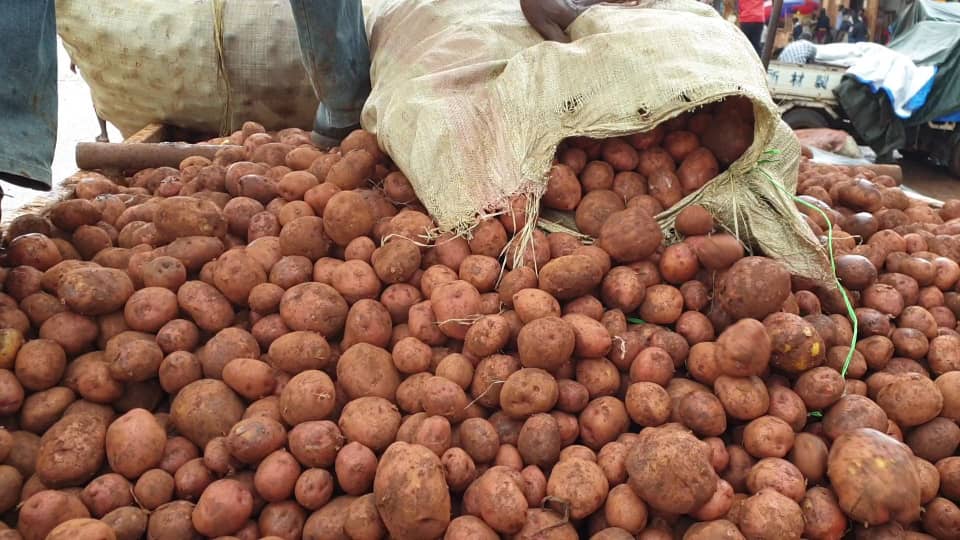 Ssekitoleko: We need more agricultural teachers in schools