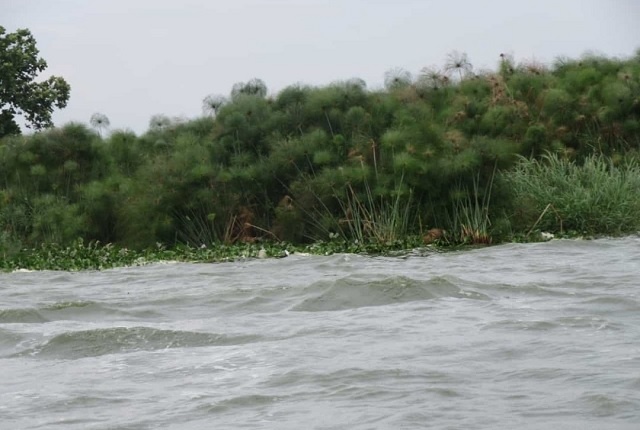 Mbale: Residents block wetland demarcation