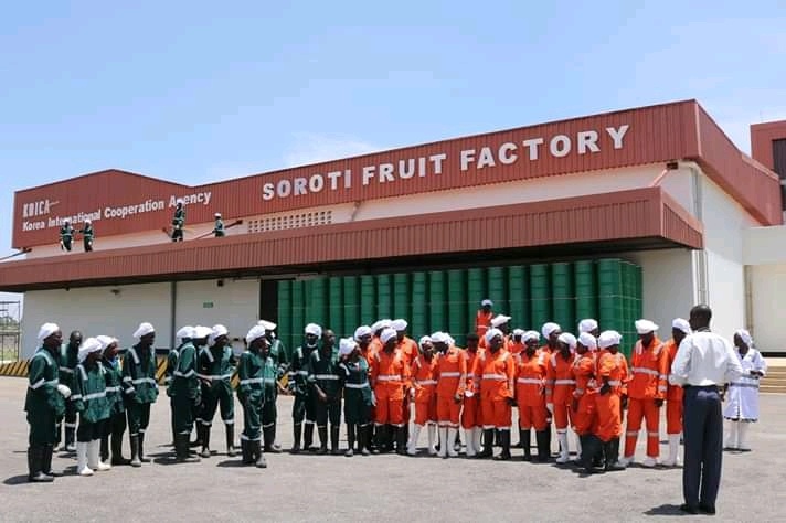 Government to set up more fruit processing factories