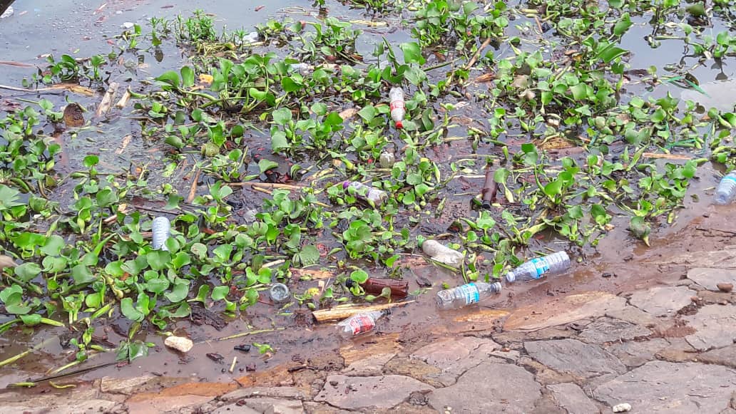 Plastic bottles pollute environment 