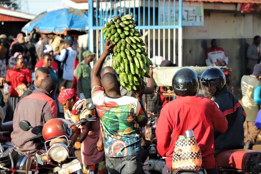 Opinion: The Coronavirus pandemic demonstrates the value of workers around the world