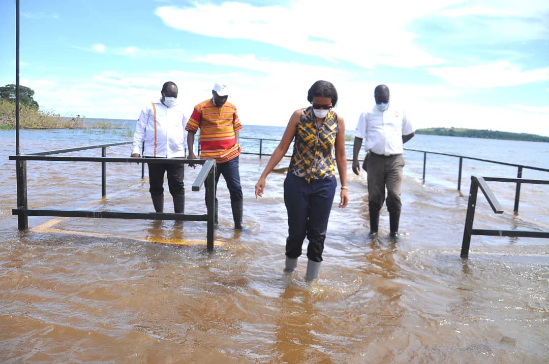 UTB boss Ajarova worried over  rising Lake Victoria waters engulfing  Ngamba chimp sanctuary