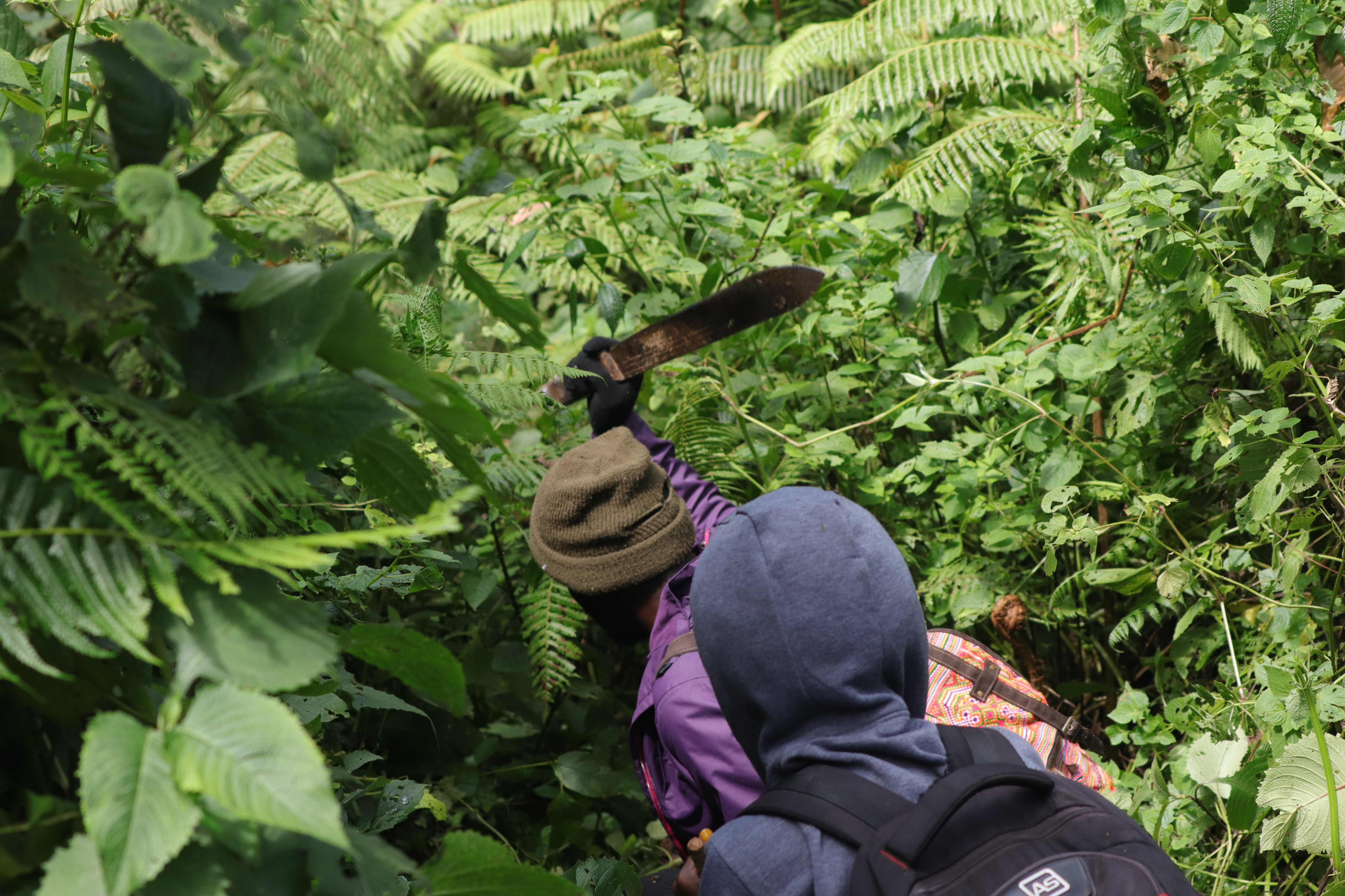 Daring the Bwindi impenetrable forest, ticking it off the bucket list