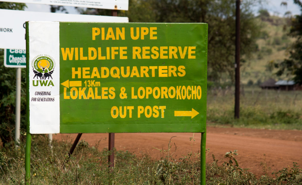 Karamoja: UWA restocks Pian Upe Game Reserve