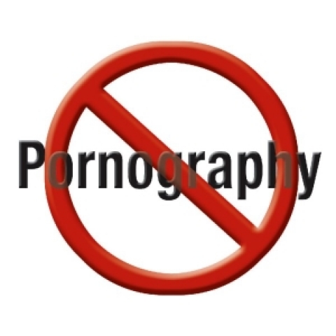 Police officers trained to fight pornography