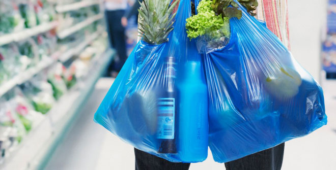 Cabinet reinstates ban on polythene bags