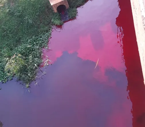 Nytil clears air on River Nile pollution reports