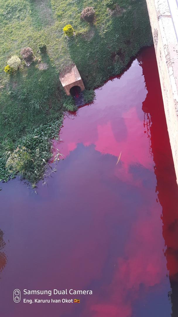 NEMA suspends activities at NYTIL over River Nile contamination