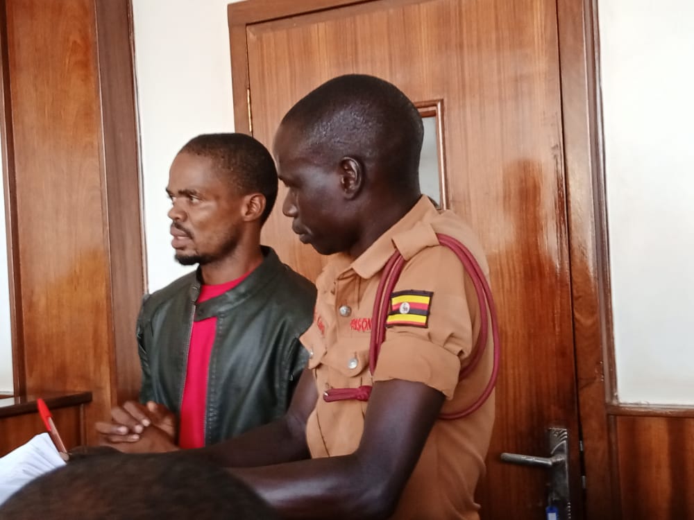 Tears as Congolese national is jailed seven years over illegal possession of parrots