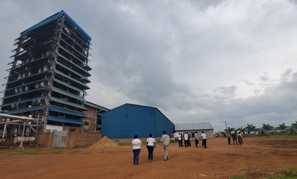 MPs praise local investor in Nwoya district for processing cassava into fuel