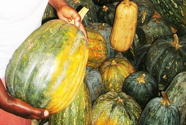 Pumpkin glut threatens farmers' investments