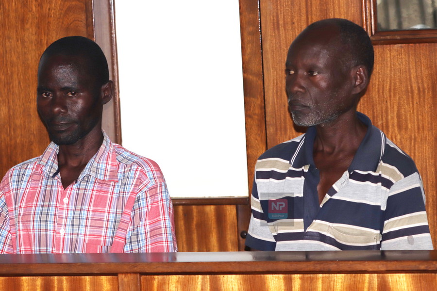 Two jailed 17 years for poisoning lions in Queen Elizabeth National Park