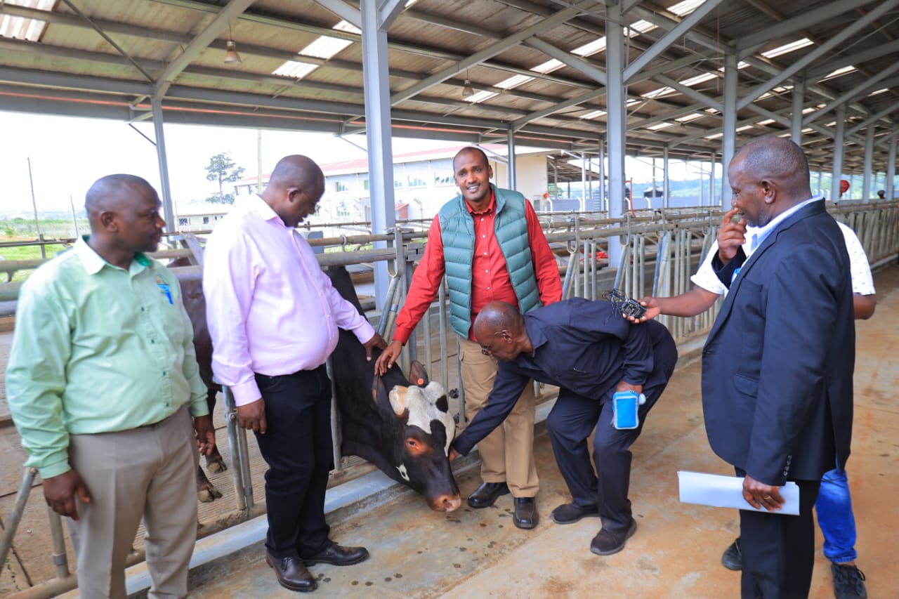Uganda’s anti-tick vaccine ready for field trial