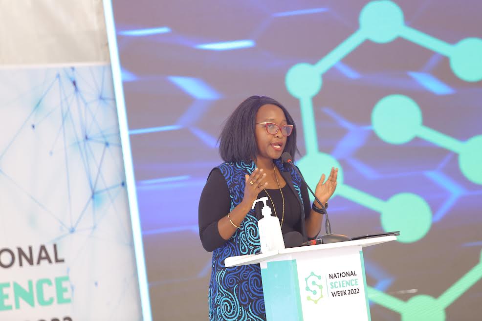 Startup investment is more than a transfer of funds – investors told