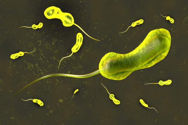 Cholera claims 180 lives in a month