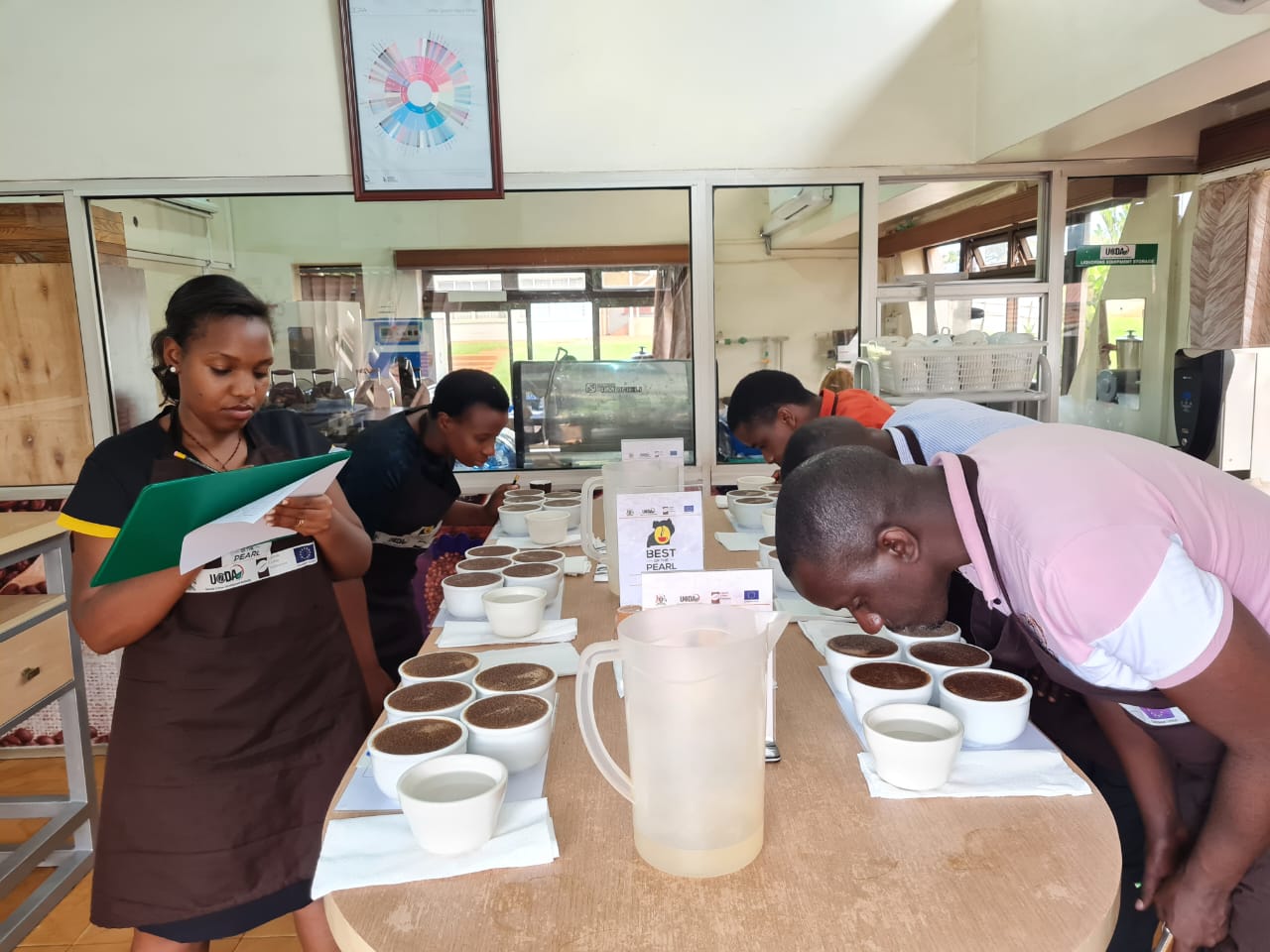 Quality of Uganda's Arabica coffee is greatly improving, says UCDA