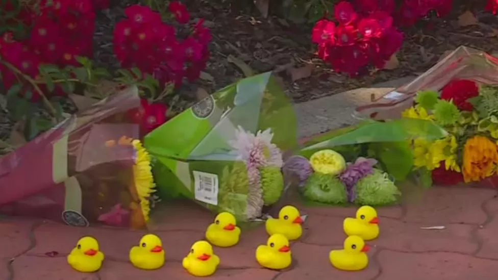 Man killed by car while trying to help ducks cross a road