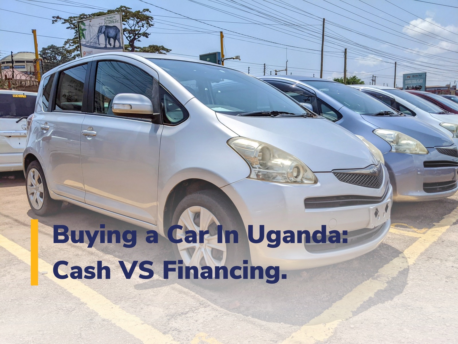 Financing vs paying cash when buying a car What is the best option for you?