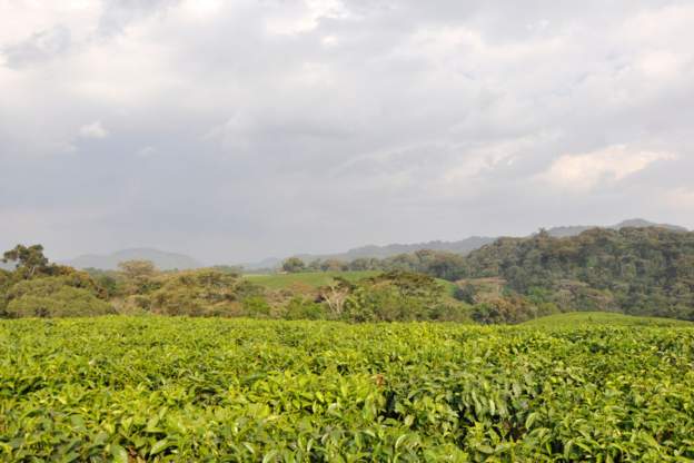 Rwandans celebrate five new World Heritage sites