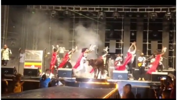 PM Nabbanja Kwepichas with Gravity Omutujju’s mother as live cow dances on stage