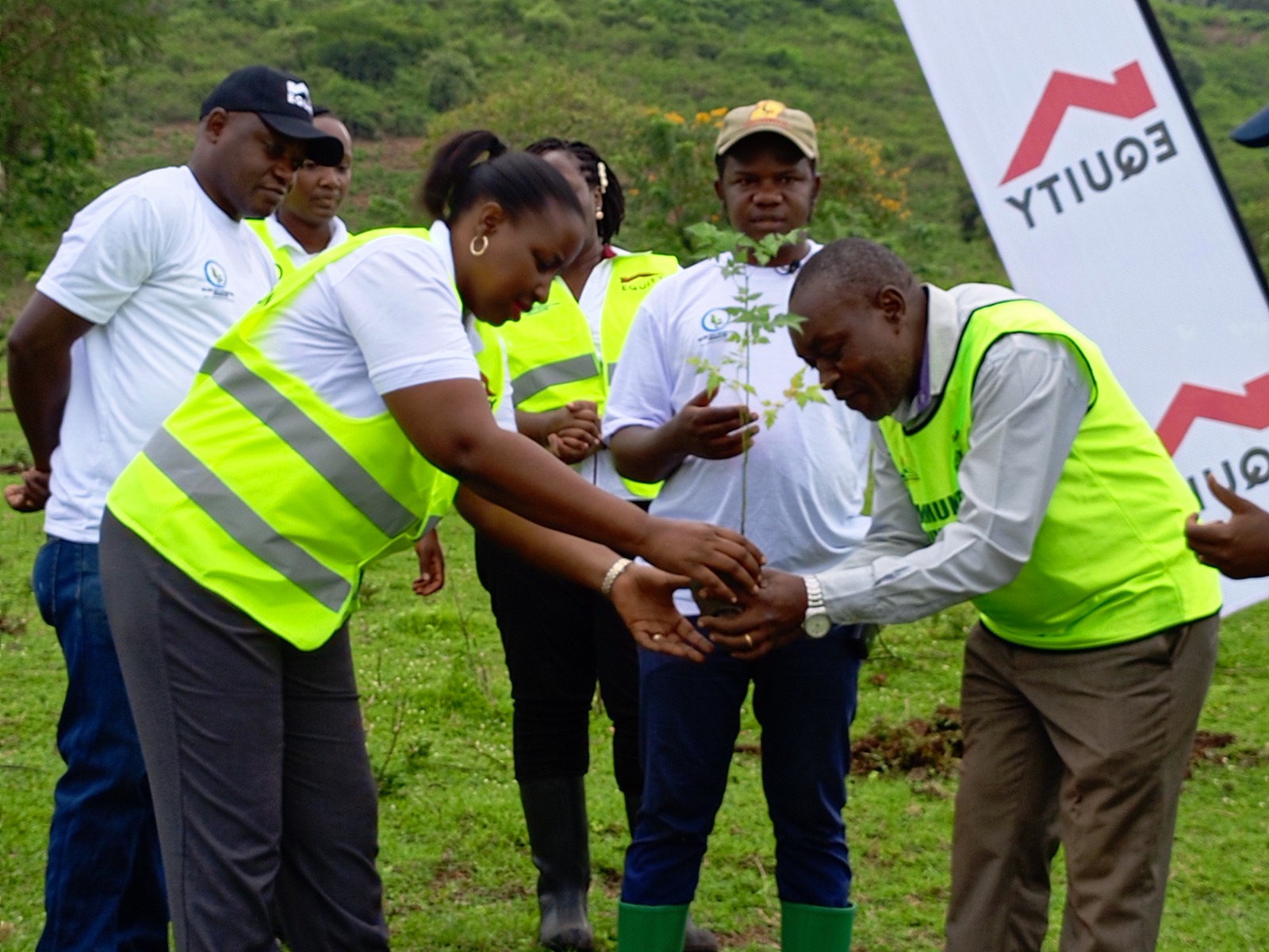 Equity bank launches Kasese conservation forestry program