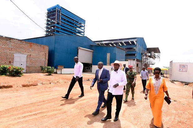 Cassava dreams turn to maize reality: The transformation of Uganda’s Bukona Agro processors