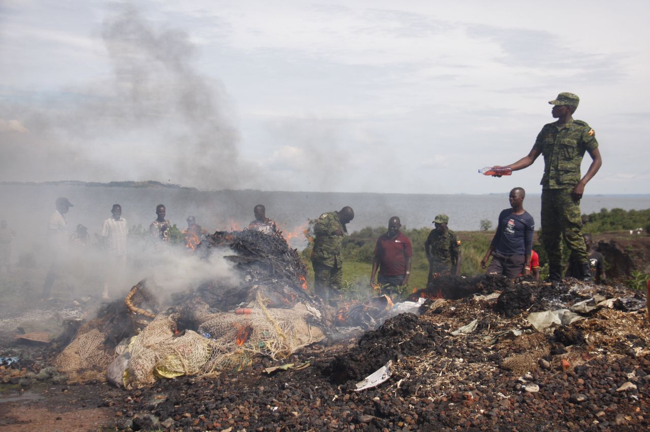 Immature fish worth millions destroyed