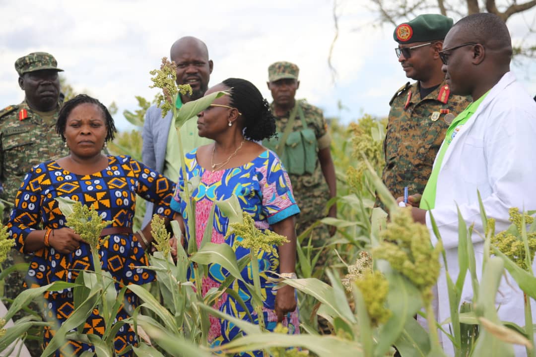 Ministers Kitutu, Nandutu return to Karamoja, pledge agricultural revival