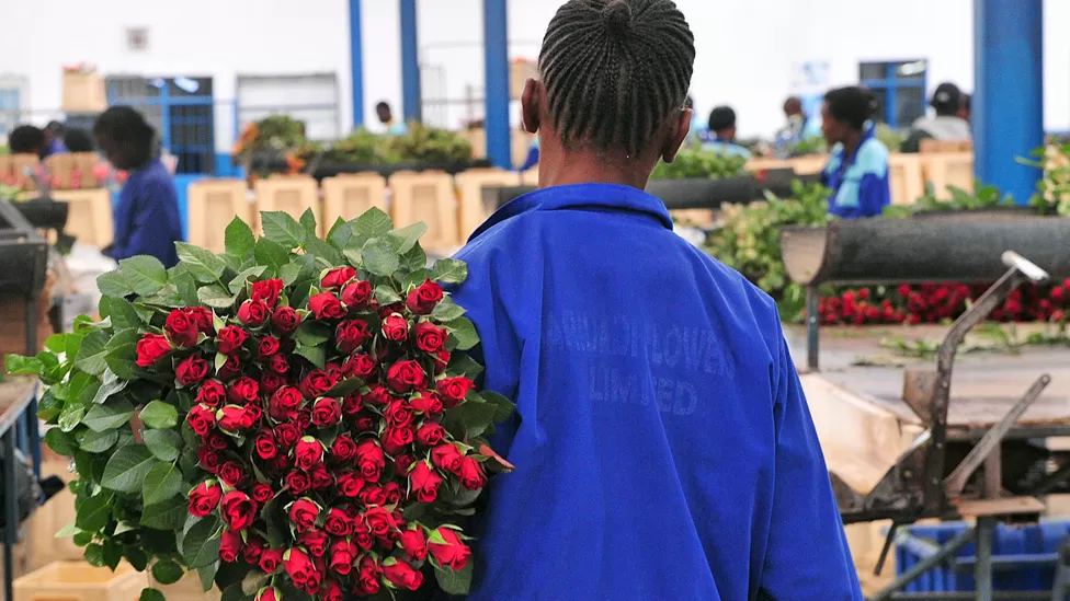 Has the Agoa US trade pact helped Africa?