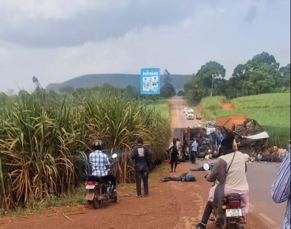 Featured image for BREAKING: One dead in Lugazi road crash